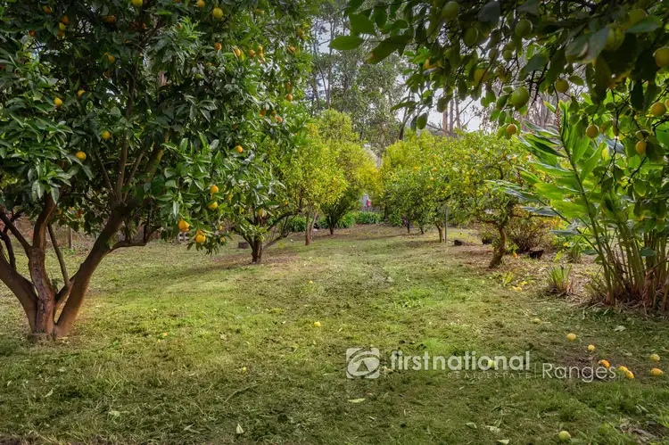 Fourth view of Homely house listing, 224 Woori Yallock Road, Cockatoo VIC 3781