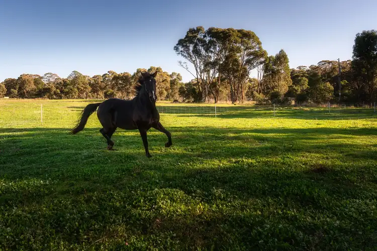 Seventh view of Homely land listing, CA 58, 11 O’Halloran Drive, Mandurang South VIC 3551