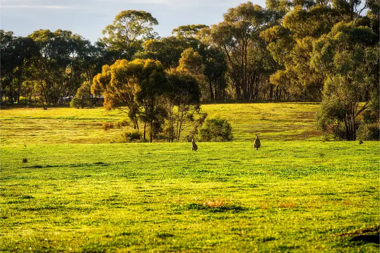 Fourth view of Homely land listing, CA 59, 11 O’Halloran Drive, Mandurang South VIC 3551