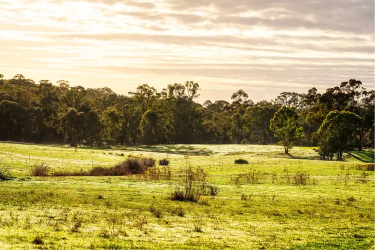 Fifth view of Homely land listing, CA 59, 11 O’Halloran Drive, Mandurang South VIC 3551