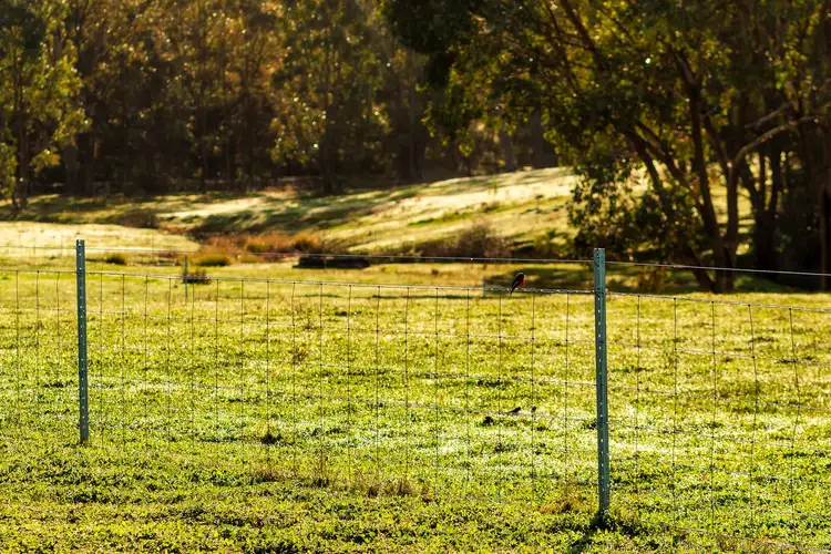 Seventh view of Homely land listing, CA 59, 11 O’Halloran Drive, Mandurang South VIC 3551