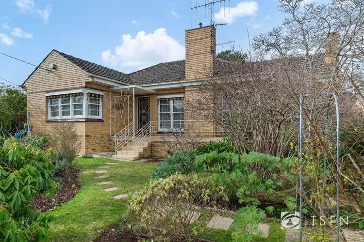 Main view of Homely house listing, 193 Neale Street, Flora Hill VIC 3550