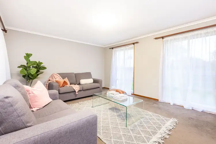 Third view of Homely house listing, 41 Nardoo Street, Red Cliffs VIC 3496