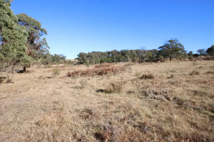 Fourth view of Homely land listing, 8 Mount McKenzie Lookout Road, Tenterfield NSW 2372