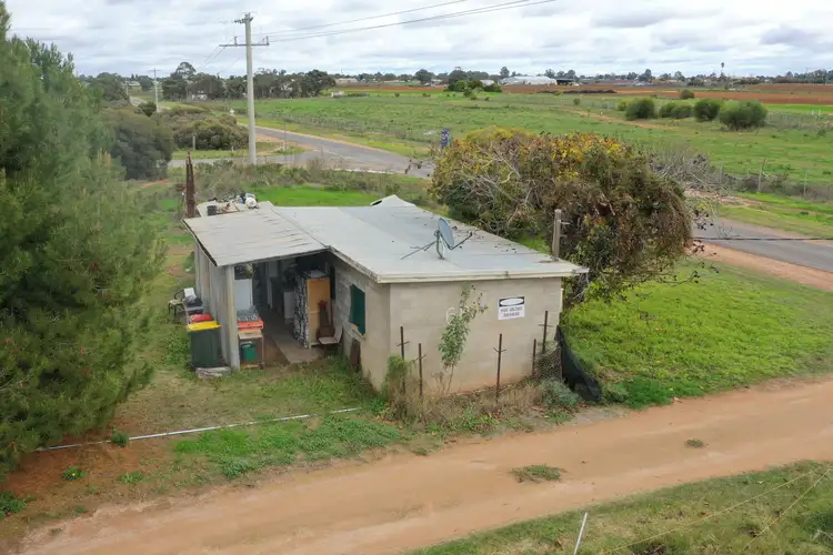 Fourth view of Homely rural property listing, 46 Nerrum Avenue, Red Cliffs VIC 3496