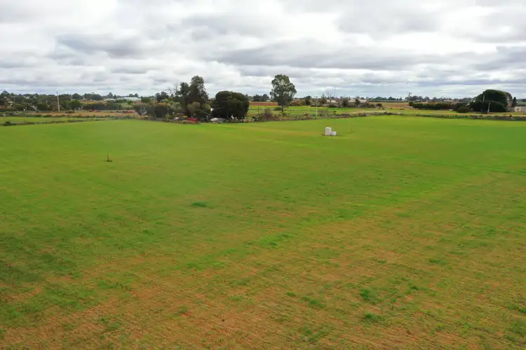 Sixth view of Homely rural property listing, 46 Nerrum Avenue, Red Cliffs VIC 3496
