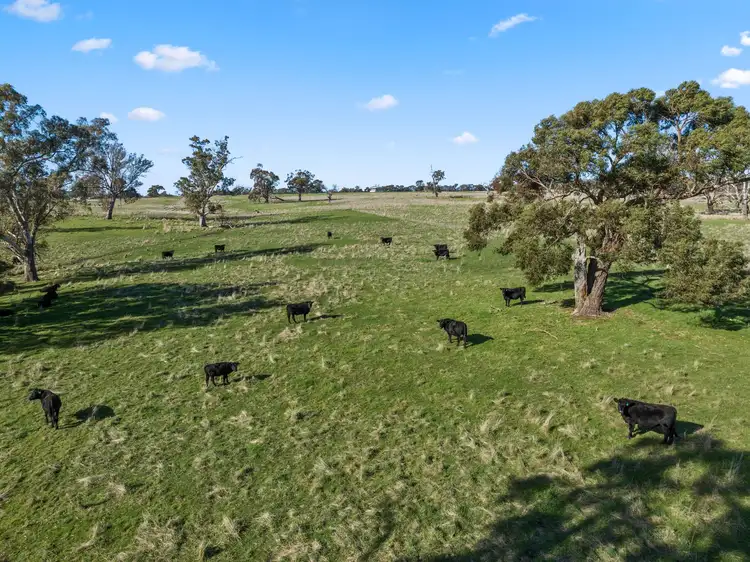 Third view of Homely rural property listing, 231 Sutton Grange-Redesdale Road, Sutton Grange VIC 3448