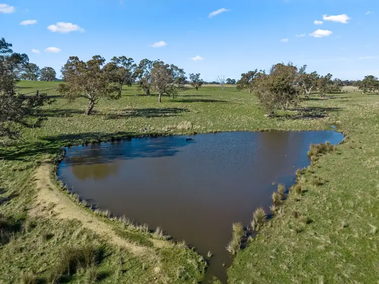 Sixth view of Homely rural property listing, 231 Sutton Grange-Redesdale Road, Sutton Grange VIC 3448