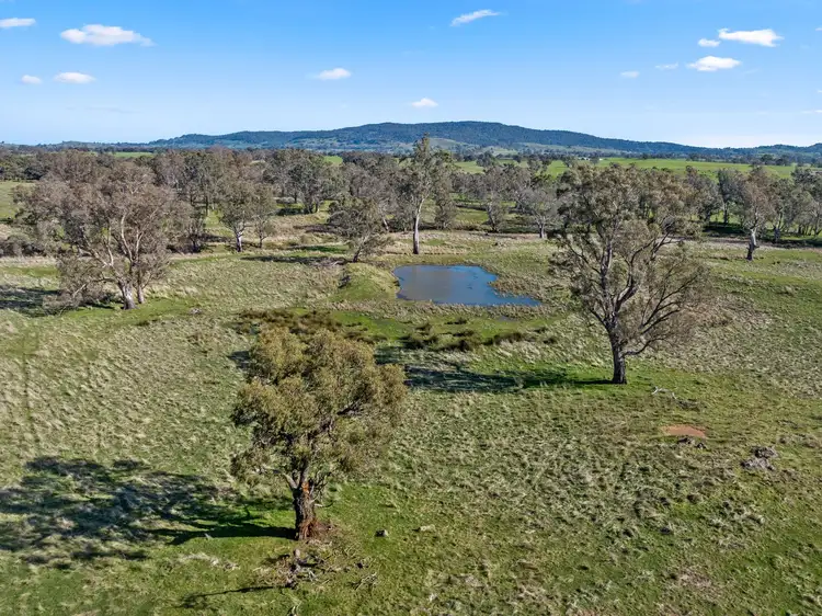 Seventh view of Homely rural property listing, 231 Sutton Grange-Redesdale Road, Sutton Grange VIC 3448