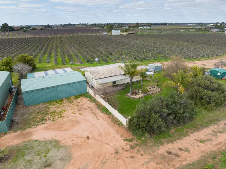Second view of Homely house listing, 20D Snowy Avenue, Red Cliffs VIC 3496
