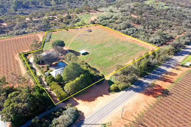 3972 Murray Valley Highway, Robinvale VIC 3549