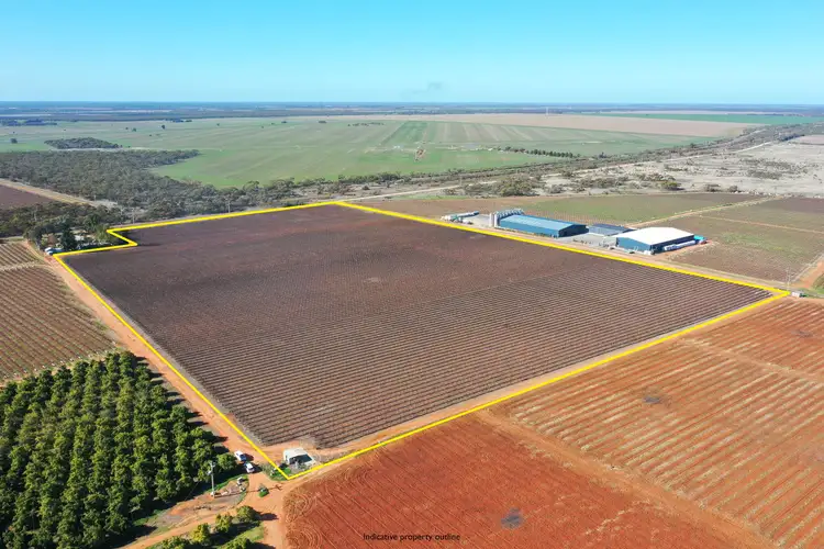 Lot 2 PS507823 Anzac Road, Robinvale VIC 3549