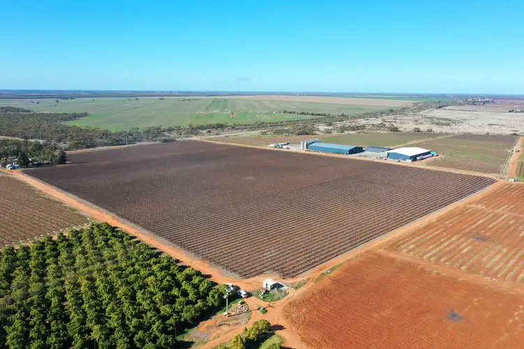 Fifth view of Homely rural property listing, Lot 2 PS507823 Anzac Road, Robinvale VIC 3549