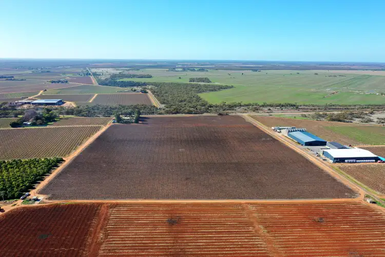 Sixth view of Homely rural property listing, Lot 2 PS507823 Anzac Road, Robinvale VIC 3549