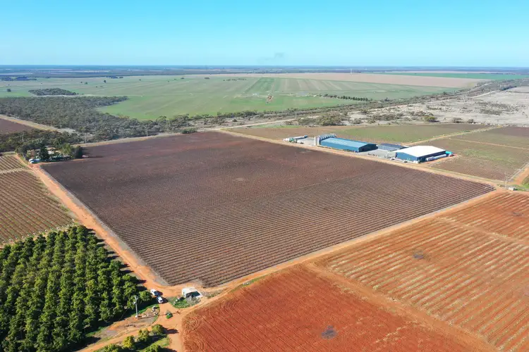 Seventh view of Homely rural property listing, Lot 2 PS507823 Anzac Road, Robinvale VIC 3549