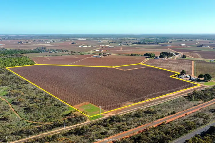 Main view of Homely rural property listing, Lot 2 PS216987 Anzac Road, Robinvale VIC 3549