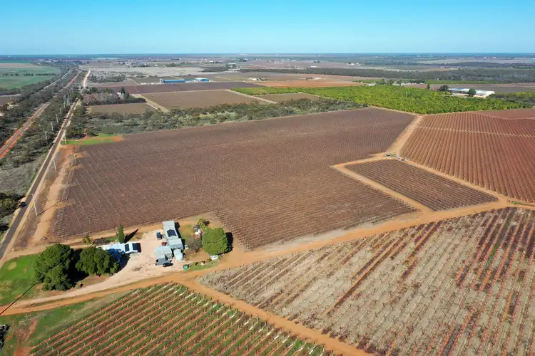 Sixth view of Homely rural property listing, Lot 2 PS216987 Anzac Road, Robinvale VIC 3549