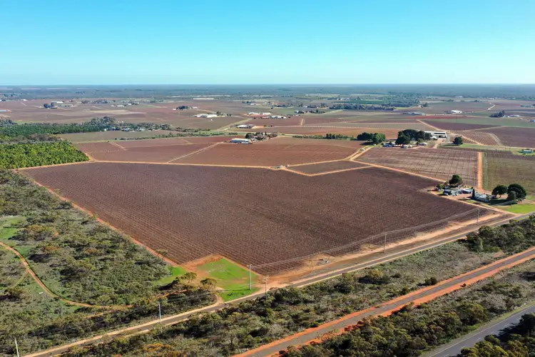 Seventh view of Homely rural property listing, Lot 2 PS216987 Anzac Road, Robinvale VIC 3549