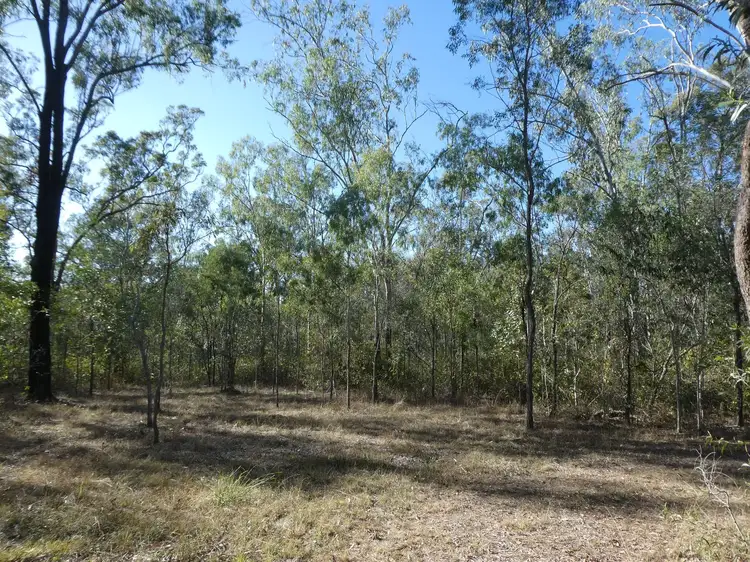 Main view of Homely rural property listing, 615 North South Road, Kullogum QLD 4660