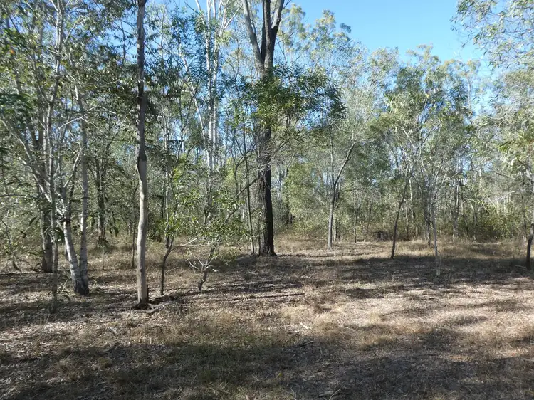 Fourth view of Homely rural property listing, 615 North South Road, Kullogum QLD 4660