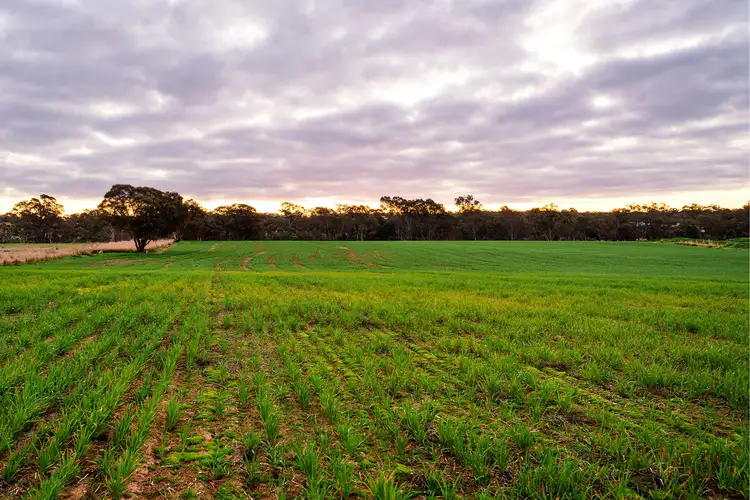 Main view of Homely land listing, Lot 3 Longlea Lane, Longlea VIC 3551