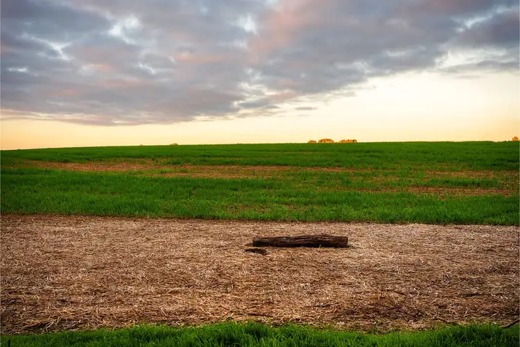 Fourth view of Homely land listing, Lot 3 Longlea Lane, Longlea VIC 3551