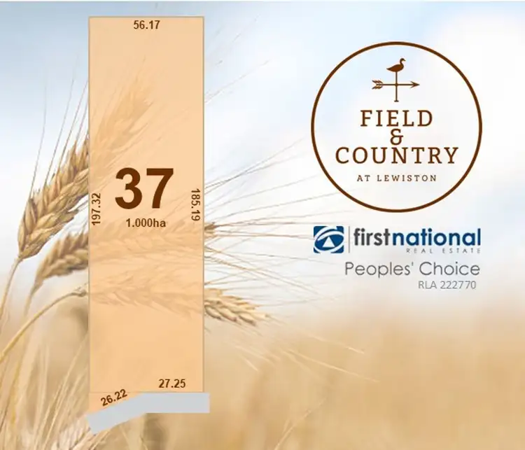 Lot 37 Field and Country