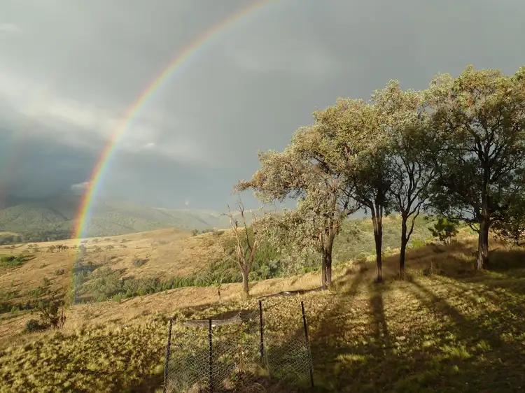 Lot 41 Stone Lane, Tenterfield NSW 2372