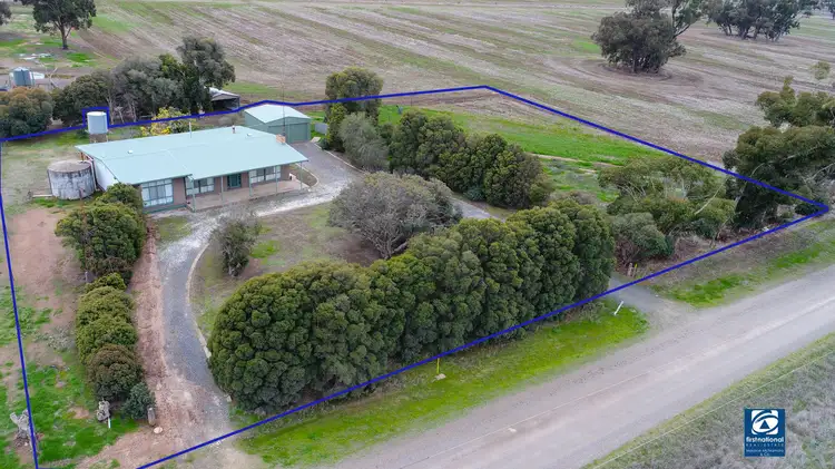 Main view of Homely rural property listing, 60 Naring Hall Road, Numurkah VIC 3636