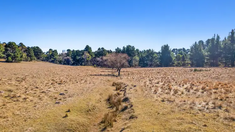 Sixth view of Homely rural property listing, 3383 GREAT WESTERN HIGHWAY, Kirkconnell NSW 2795