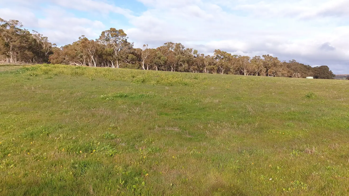 Main view of Homely land listing, 15 Northey Retreat, Mount Barker WA 6324