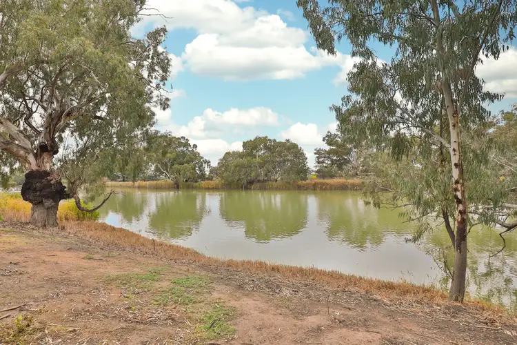98 Neilpo Road, Wentworth NSW 2648