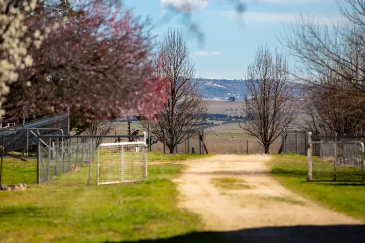 Third view of Homely rural property listing, 723 Brewongle Lane, Brewongle NSW 2795