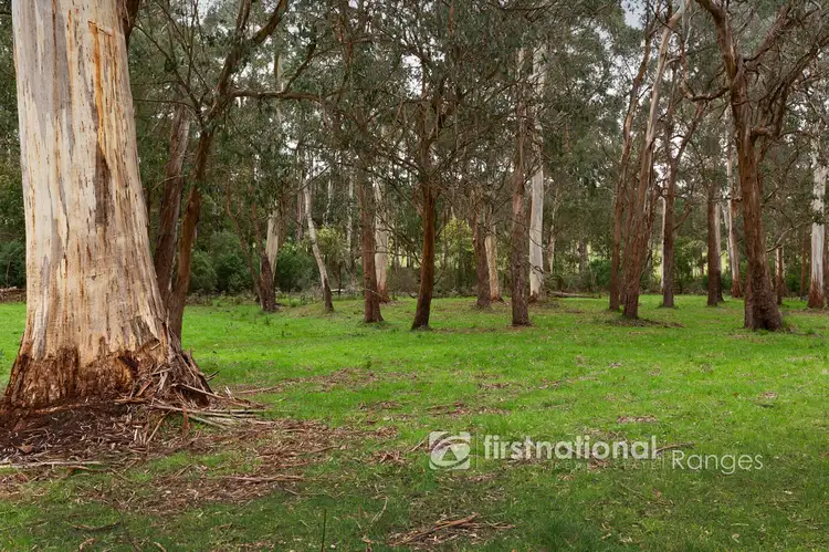 Fourth view of Homely house listing, 11 Oxford Downs Road, Macclesfield VIC 3782