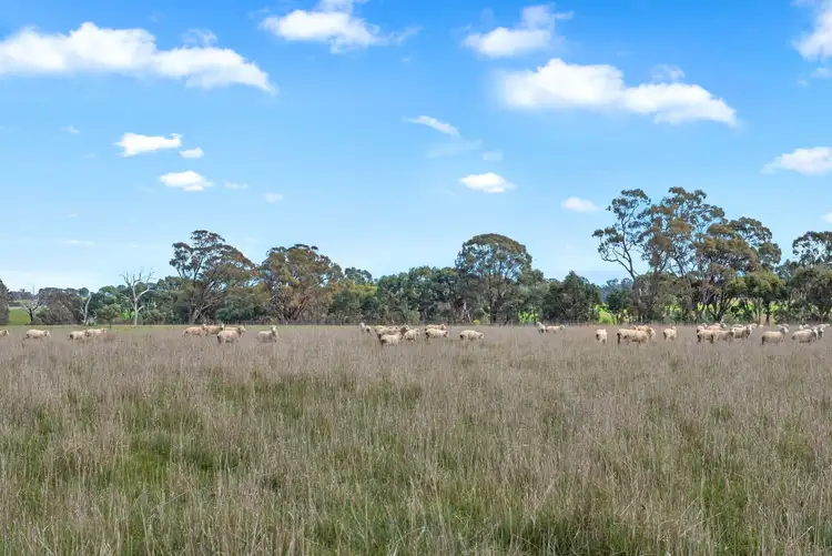 Fourth view of Homely rural property listing, Lot 4 Craigs Lane, Knowsley VIC 3523