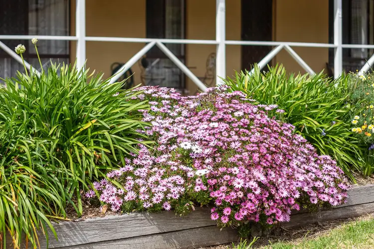 Second view of Homely house listing, 13 Matthew Smillie Drive, Nairne SA 5252