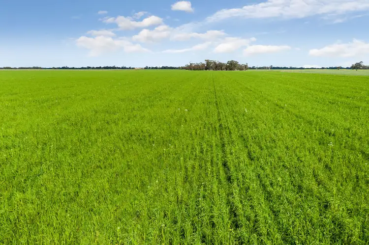 Second view of Homely rural property listing, Cnr Dingee & Keane Roads, Diggora VIC 3561