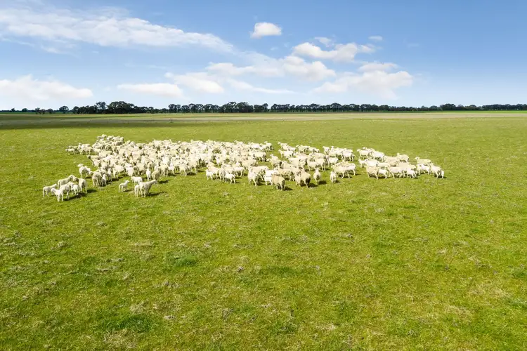 Fifth view of Homely rural property listing, Cnr Dingee & Keane Roads, Diggora VIC 3561