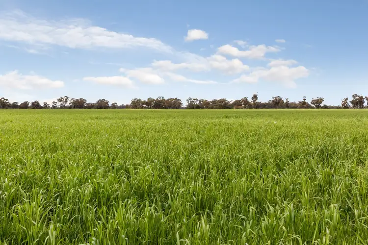 Sixth view of Homely rural property listing, Cnr Dingee & Keane Roads, Diggora VIC 3561