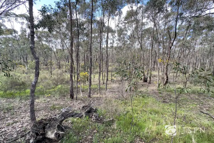 Sixth view of Homely land listing, Lot 1 Curtis Road, Axe Creek VIC 3551