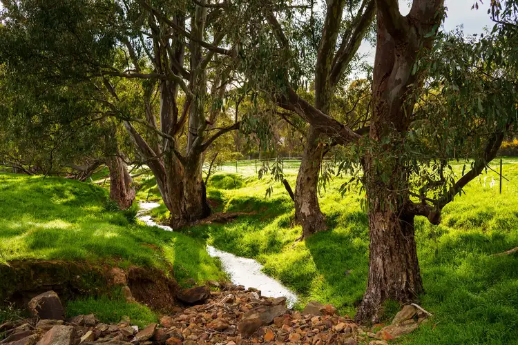 Second view of Homely land listing, Lot 1/258 Tannery Lane, Mandurang VIC 3551
