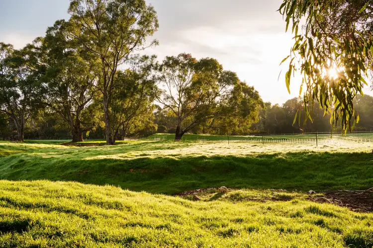 Fourth view of Homely land listing, Lot 1/258 Tannery Lane, Mandurang VIC 3551