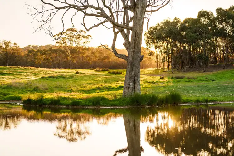 783 Emu Creek Road, Emu Creek VIC 3551