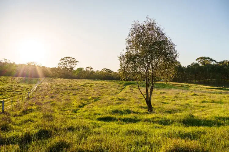 Fifth view of Homely land listing, 783 Emu Creek Road, Emu Creek VIC 3551