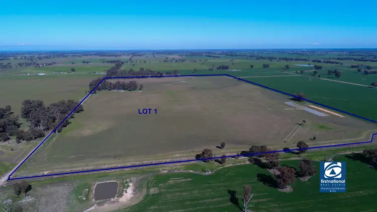 219 Grahams Road, Wunghnu VIC 3635