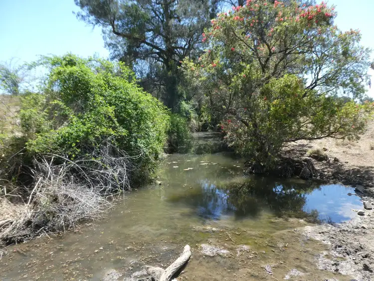 Third view of Homely rural property listing, 966 Fowlers Road, Wilson Valley QLD 4625