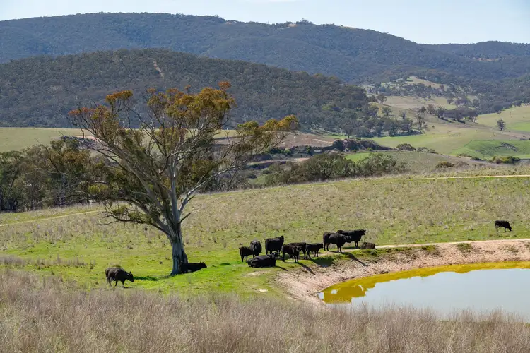 Second view of Homely rural property listing, Lot 3/1335 Tarana Road, Wambool NSW 2795