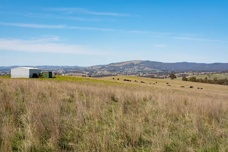 Fifth view of Homely rural property listing, Lot 3/1335 Tarana Road, Wambool NSW 2795