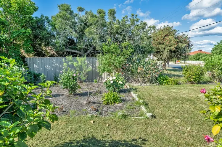 Third view of Homely house listing, 37 Murray Street, Pinjarra WA 6208