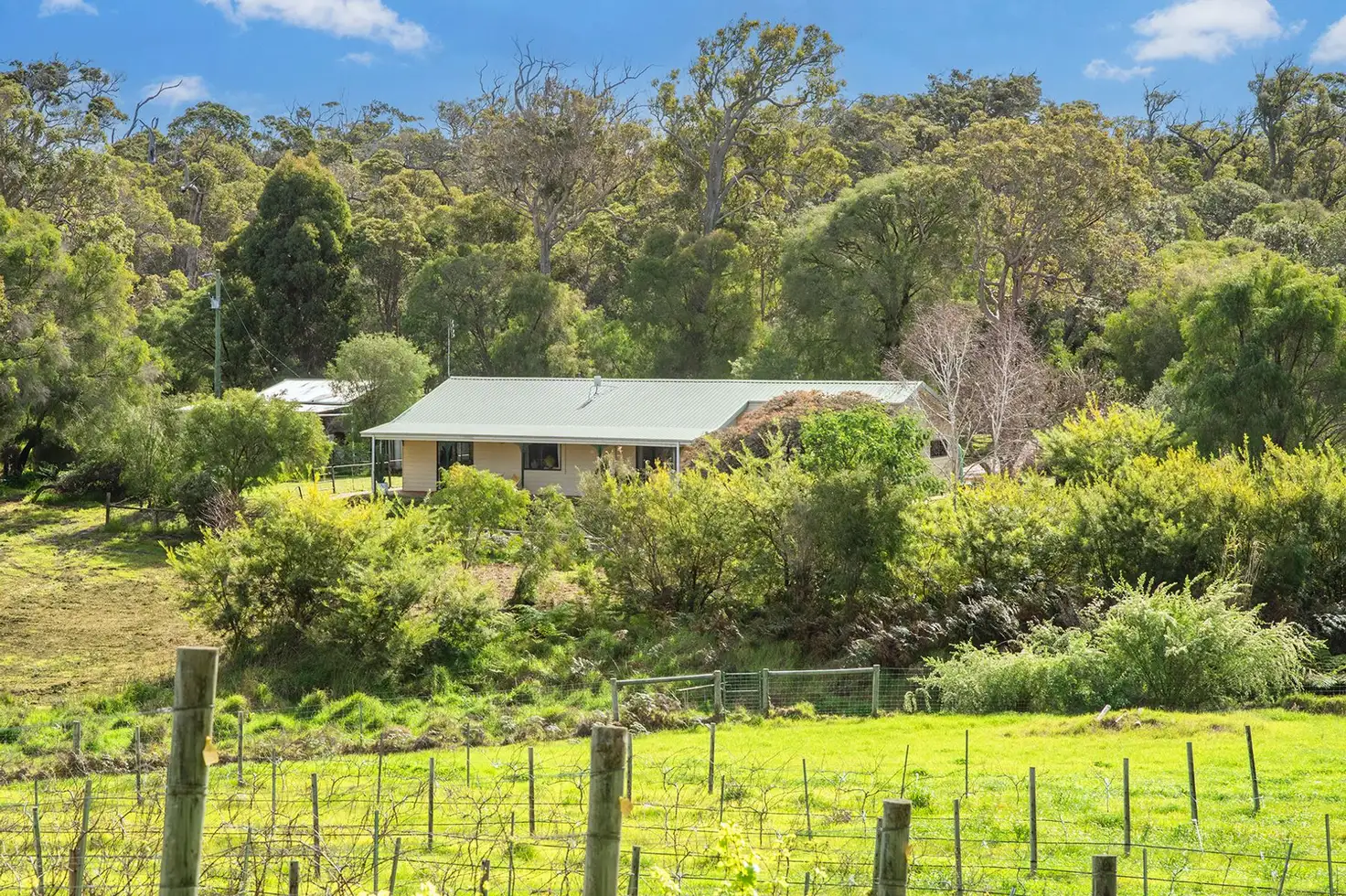 Main view of Homely house listing, 811 Puzey Road, Wilyabrup WA 6280